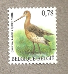 Stamps Belgium -  Aguja colinegra