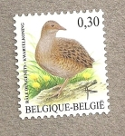 Stamps Belgium -  Codorniz