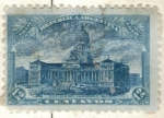 Stamps America - Argentina -  ARGENTINA 1910 (MT155) Conmemoracion del Primer Centenario de la Revolucion 1810 - Palacio del Congr