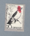 Stamps : America : Uruguay :  Cardenal Colorado