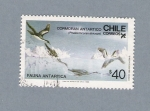 Stamps : America : Chile :  Cormoran Antartico