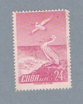 Stamps Cuba -  Pelícano