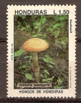Stamps America - Honduras -  HONGOS  DE  HONDURAS