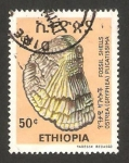 Stamps Ethiopia -  concha ostrea gryphea plicatissima