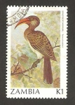 Stamps Africa - Zambia -  ave tockus bradfieldi