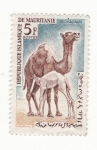 Sellos de Africa - Mauritania -  Dromedario