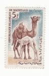 Stamps : Africa : Mauritania :  Dromedario