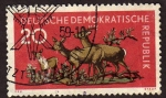 Stamps Germany -  Ciervos