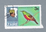 Stamps Democratic Republic of the Congo -  Expedición de Fleuve. Zaire