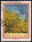 Stamps Italy -  Italia 1966 Scott 937A Sello Arboles Arbustos Ginestra usado