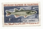 Stamps : Africa : Mauritania :  Mugil Cepbalus