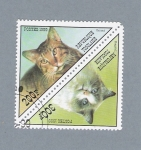 Stamps : Africa : Togo :  Gatos