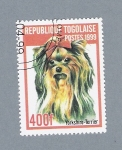 Stamps : Africa : Togo :  Yorkshire-  Terrier