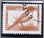 Stamps : Africa : Benin :  Motecilla Frava