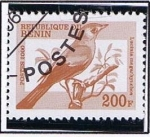 Stamps Benin -  Lucinia