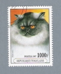Stamps : Africa : Togo :  Gato Persa