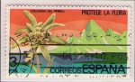 Stamps Spain -  Naturaleza 2469