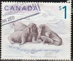 Sellos de America - Canad� -  CANADA 1999 Scott 1697 Sello Animales Atlantic Walrus Morsa del Atlántico Usado