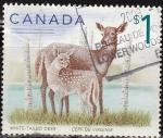 Sellos de America - Canad� -  CANADA 1999 Scott 1696 Sello Animales White Tailed Deer Venado de Cola Blanca Usado