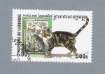 Stamps Cambodia -  Gato