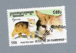 Sellos de Asia - Camboya -  Gatos