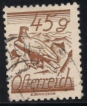 Stamps Europe - Austria -  AGUILA DE HOMBROS BLANCOS