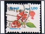 Stamps Brazil -  Impatiens sp