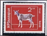 Sellos de Europa - Bulgaria -  Cabra