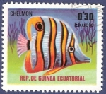Stamps Equatorial Guinea -  GUINEA EC Chelmon 0,30 NUEVO