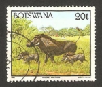 Stamps Africa - Botswana -  fauna salvaje, phacocheres 