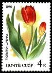 Stamps Russia -  ESTEPA TULIPANES