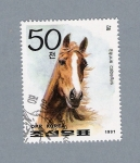 Sellos de Asia - Corea del norte -  Equus Caballus