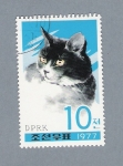 Stamps North Korea -  Gato