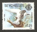 Stamps Africa - Seychelles -  fauna, sternie blanche