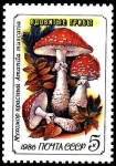 Stamps Russia -  AMANITA MUSCARIA