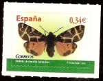 Stamps Spain -  Artimelia latreillei