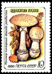 Stamps Russia -  AMANITA PANTHERINA