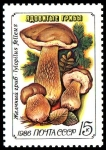 Stamps Russia -  TYLOPILUS FELLEUS