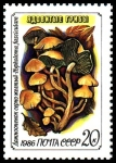 Stamps Russia -  HYPHOLOMA FASCICULARE