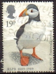Stamps United Kingdom -  Gran Bretaña 1989 Scott 1185 Sello º Pájaros Aves Frailecillo común Grande Bretagne Great Britain 