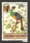 Sellos de Africa - Sierra Leona -  ave, corythaeola cristata