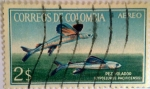 Sellos de America - Colombia -  Pez volador