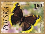 Stamps Europe - Poland -  MARIPOSAS
