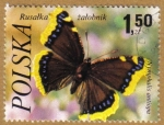 Stamps : Europe : Poland :  MARIPOSAS