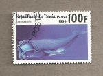 Stamps Benin -  Pez Eubalaena australis