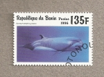 Stamps Benin -  Pez Gramphidelphis griseus