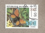 Stamps Africa - Benin -  Mariposa familia Licenidae