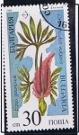 Stamps : Europe : Bulgaria :  Dracunculus vulgaris