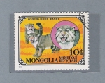 Sellos de Asia - Mongolia -  Otocolobus Manul