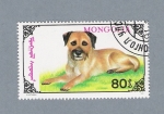 Stamps : Asia : Mongolia :  Perro